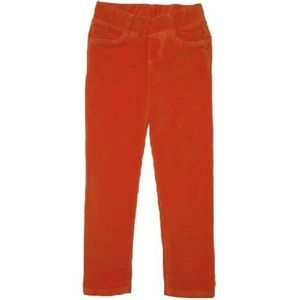 Anthem of the ants cooper corduroy skinny pants